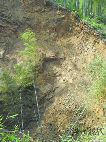 四川長寧突發地陷7天現26個天坑(組圖)