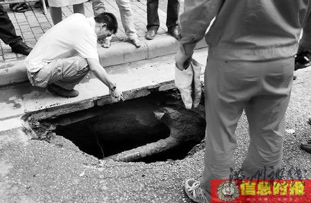 搶修人員正在觀察洞里情況。信息時報記者 朱元斌 攝