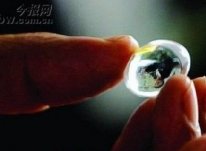 曹操墓珍寶細節披露 其口含翡翠珠估價千萬