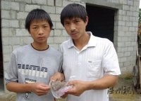 神農架采藥山民拾獲不明動物毛發(fā)