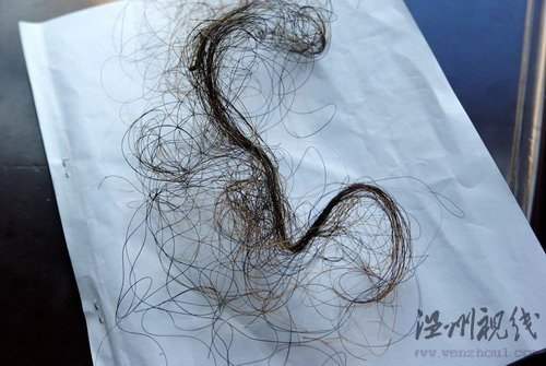 神農(nóng)架采藥山民拾獲不明動(dòng)物毛發(fā)(組圖)