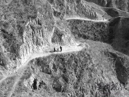 剽竊者將照片旋轉后獲國際攝影大賽特等獎(圖)