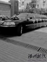 溫州最“?！庇H車隊總身價達兩千萬多元