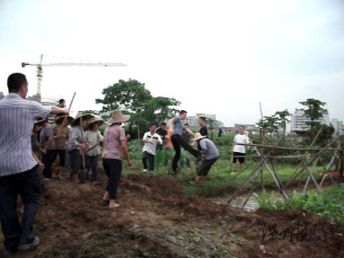 護(hù)地老婦遭壯男飛踹落水田