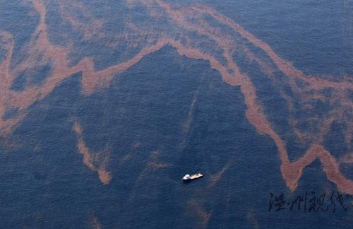 墨西哥灣油污繼續蔓延 生態污染令人痛心(圖)