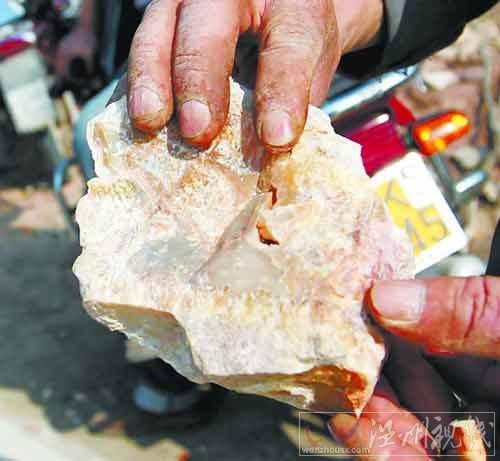 浙江上千人每日上山挖“寶石” 致青山變荒