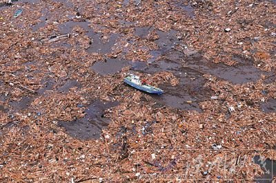 日本海嘯殘留巨型垃圾堆漂向美國 大如三個德州
