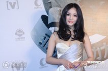 第十五屆全球華語榜中