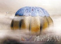 霍金瞎猜測(cè)外星人長(zhǎng)相 什么長(zhǎng)毛獸水母都是隨便瞎編