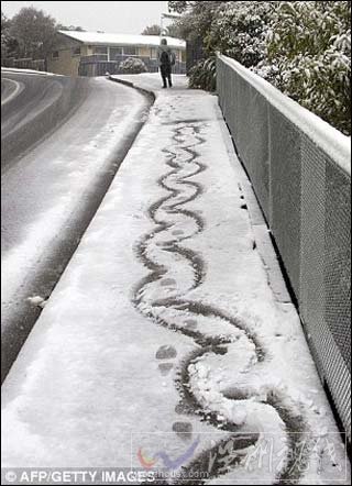 新西蘭強(qiáng)降雪50年一遇 公路機(jī)場關(guān)閉乘客滯留