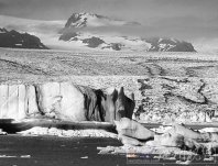 全球升溫影響北冰洋 海冰將在30年內(nèi)消失 生物面臨絕