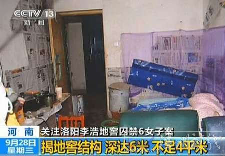 洛陽李浩地窖圖片