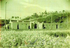 曾入選亞太地區(qū)民歌集——憶溫州民歌《叮叮當(dāng)》