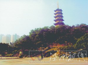 曾入選亞太地區(qū)民歌集——憶溫州民歌《叮叮當(dāng)》