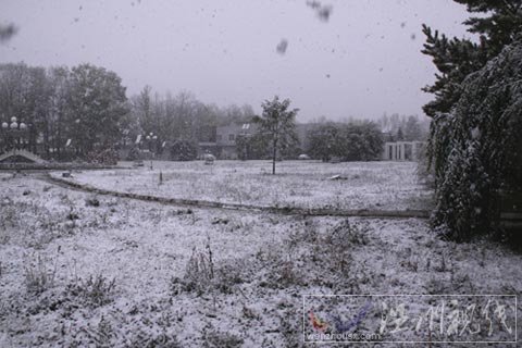 新疆昭蘇地區(qū)迎來今冬首場大雪（組圖）