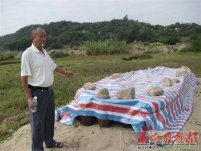 汕頭市濠江區葛洲村黃林財默許開發商陳茂泰毀祖墳