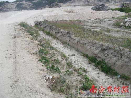 被挖出來的白骨還隨意堆放在路旁