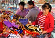 廣西沿海剛剛“初冬” 15日冷空氣南下將出現大風降