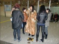 張咪逃加拿大 報(bào)案人機(jī)場(chǎng)攔截警方放行張咪偷逃加拿