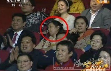 2012春晚睡覺姐