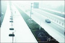 山東大霧天氣鎖住多條高速路 積雪使多車連撞連發