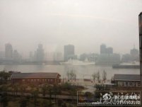 上海2012情人節(jié)天氣預(yù)報有小雨 情人節(jié)送花勿忘我(雨