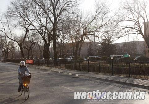 這個“五九”冷過“三九” 京城本周末溫暖再現