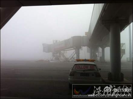 山東多地大霧降雪交通受阻 濟南機場80余航班延誤