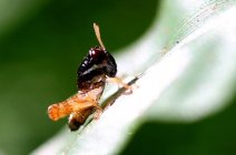 驚蟄節氣 驚蟄是什么意思 2012年驚蟄節氣