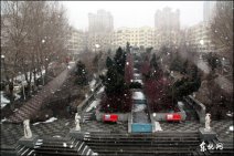 哈爾濱雪花啤酒怎么來的 原來哈爾濱天氣3月24日還有