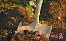 挑戰紀錄被活埋 斯里蘭卡青年挑戰被活埋吉尼斯記錄