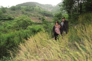 兄妹隱居深山20余年幾乎失語(組圖)