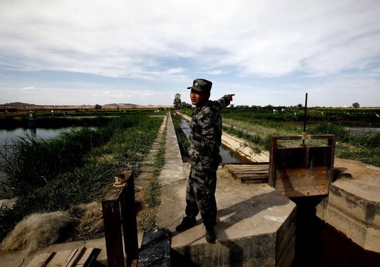 航天員食品特供基地：每一頭奶牛都有身份證