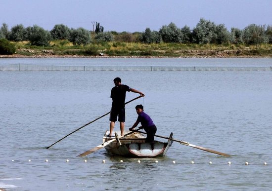 航天員食品特供基地：每一頭奶牛都有身份證