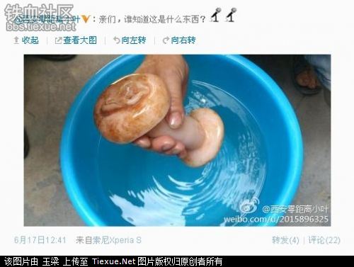 女記者誤將自慰器認(rèn)作肉靈芝