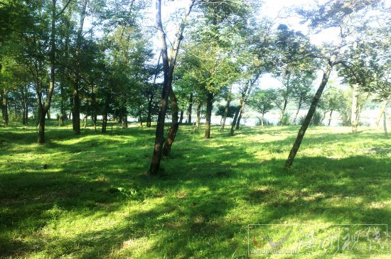 楠溪江燒烤景點圖片