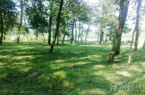 楠溪江燒烤景點圖片