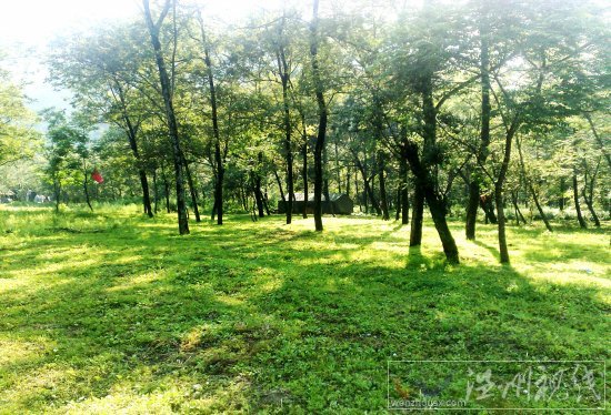 楠溪江燒烤景點圖片