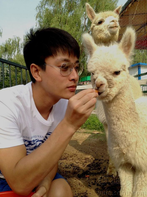 李小璐喂食草泥馬