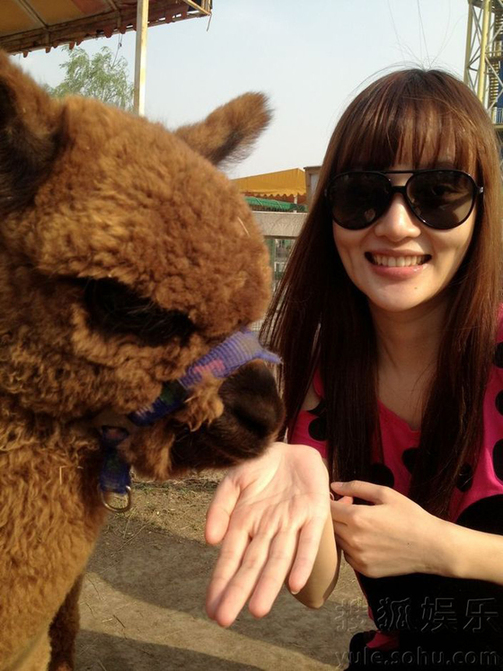 李小璐喂食草泥馬