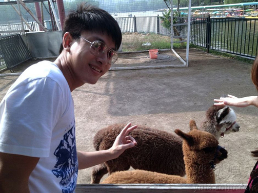 李小璐喂食草泥馬