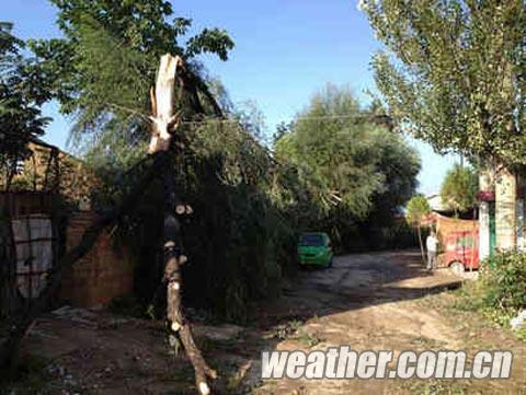 甘肅省武山遭遇強(qiáng)雷陣雨冰雹襲擊 多個(gè)鄉(xiāng)鎮(zhèn)受災(zāi)