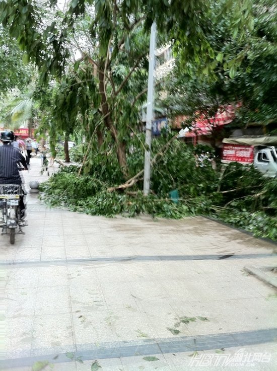 佳木斯刮臺(tái)風(fēng)