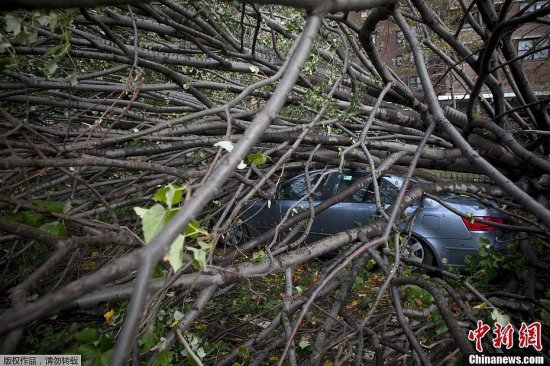 颶風桑迪登陸美國
