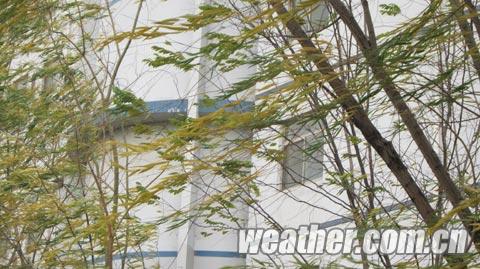 寧夏大風來襲 氣象臺發布寒潮藍色預警