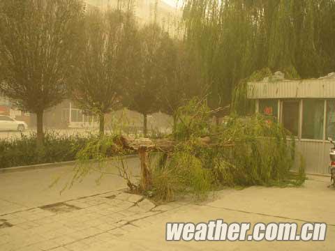 受西伯利亞南下冷空氣影響 新疆哈密南部出現(xiàn)沙塵暴