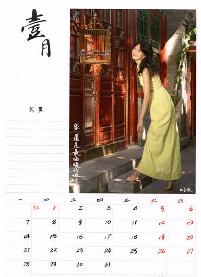 林志玲2013年月歷