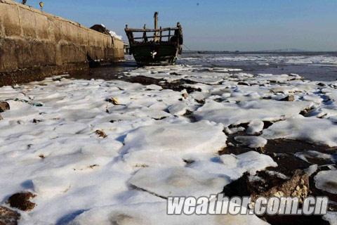 山東青島 膠州灣出現初生海冰
