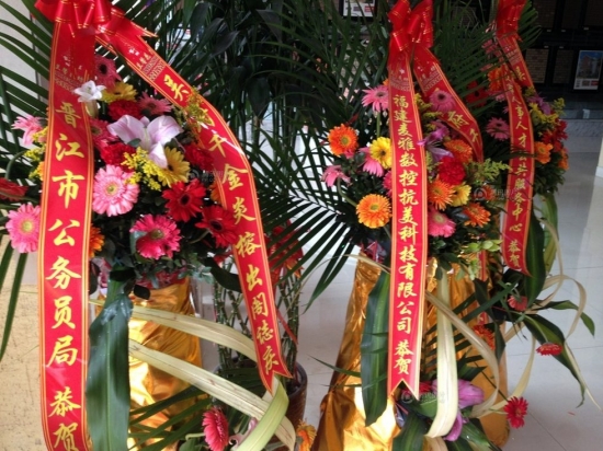 福建萬利集團老總嫁女