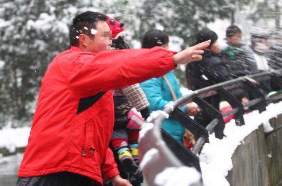 杭州動物園雪球砸獅子